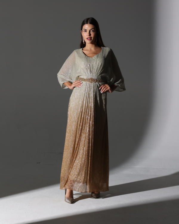 Shimmer in 2 tone gold and silver kaftan